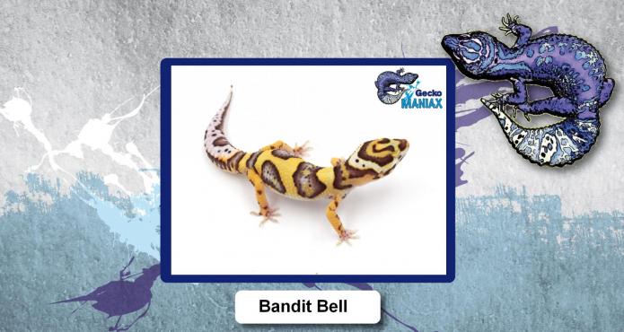 Bandit bell