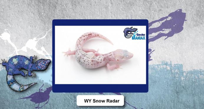 Wy snow radar 2